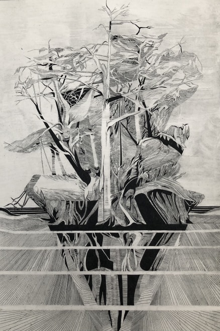 John Dearing  Island 1, A crows solitude