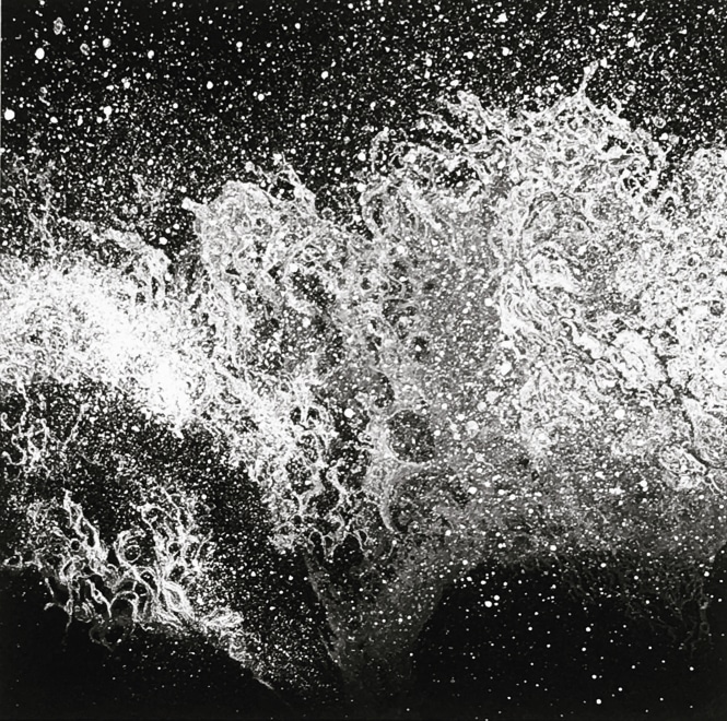 Marianne Ferm  Wild Oceans III