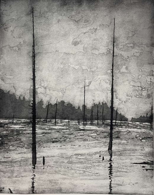 Mary Gillett  New World