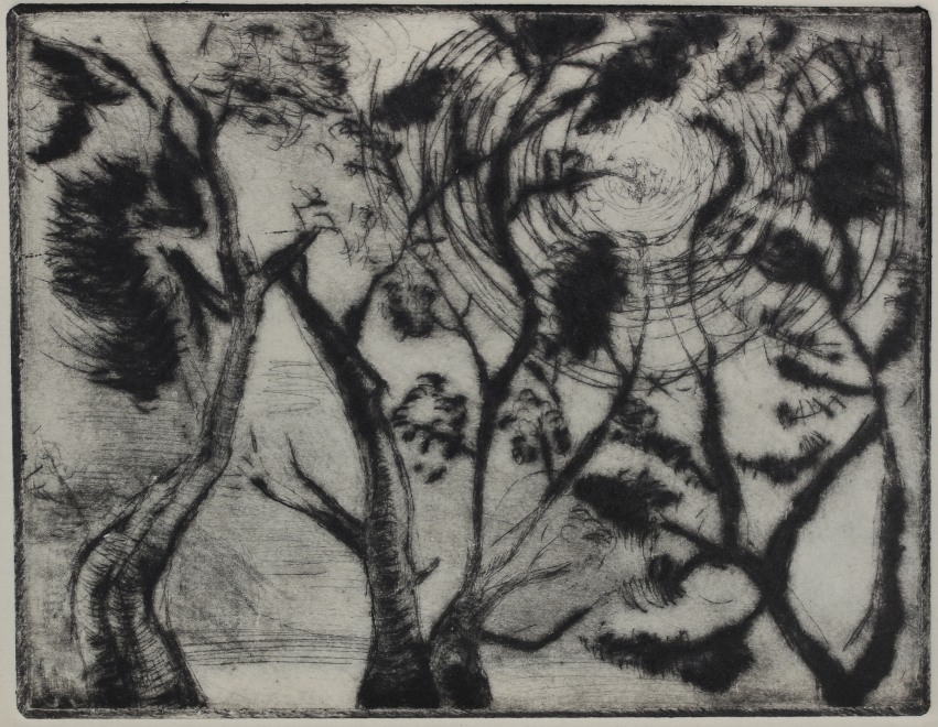 Evangelia Hamilton  Canopy - Hampstead