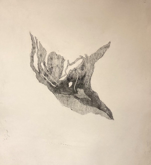 Eleanor Havsteen-Franklin  Cryosphere