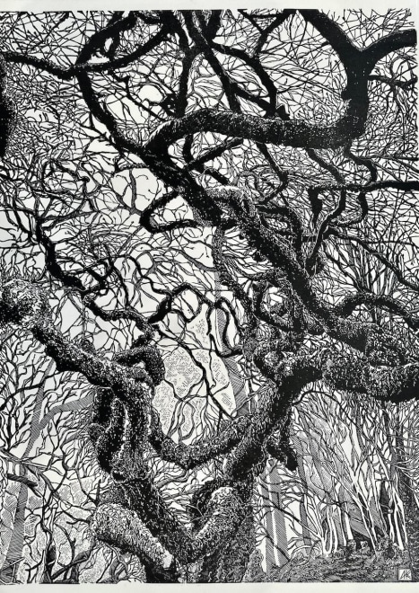 Aga Kubish  The Tree