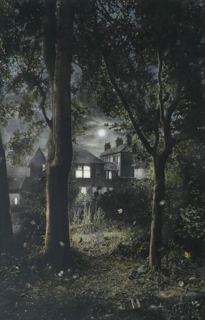 Suzanne Moxhay  Woods