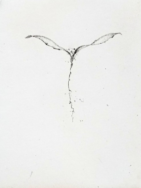 Lars Nyberg  A Midsummer Night Angel