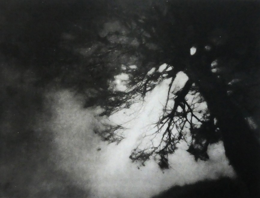 Amanda Salter  Moonbeam