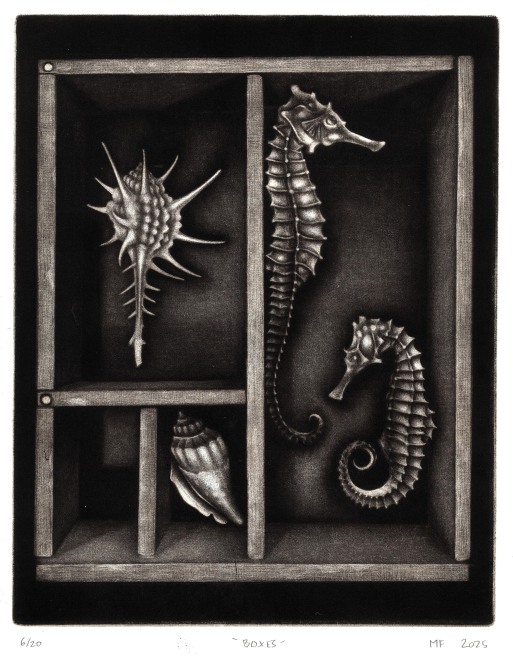 Matthew Fullwood  Boxes