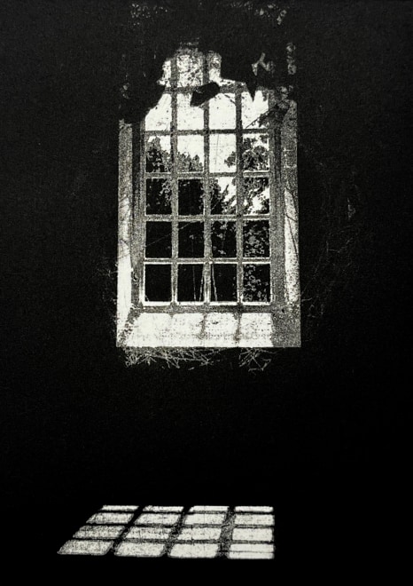 Teresa Schippel Hales  Enlightenment