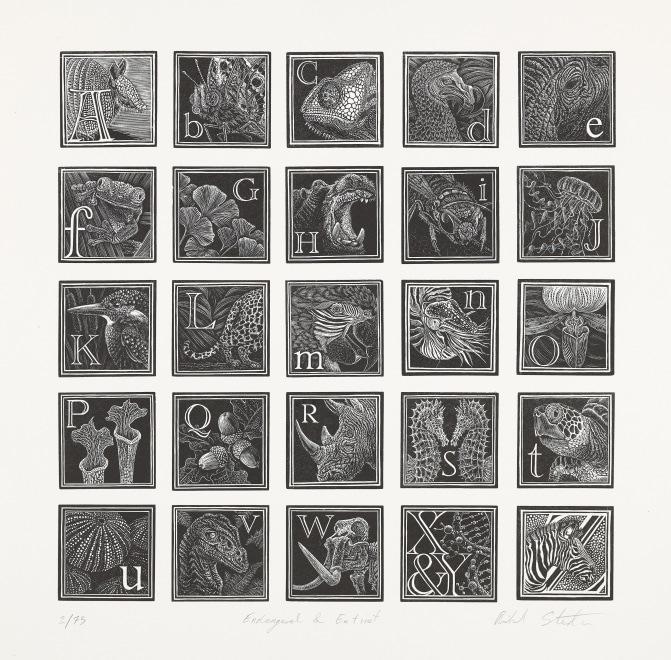 Richard Studer  An Engraver's Alphabet - Endangered And Extinct