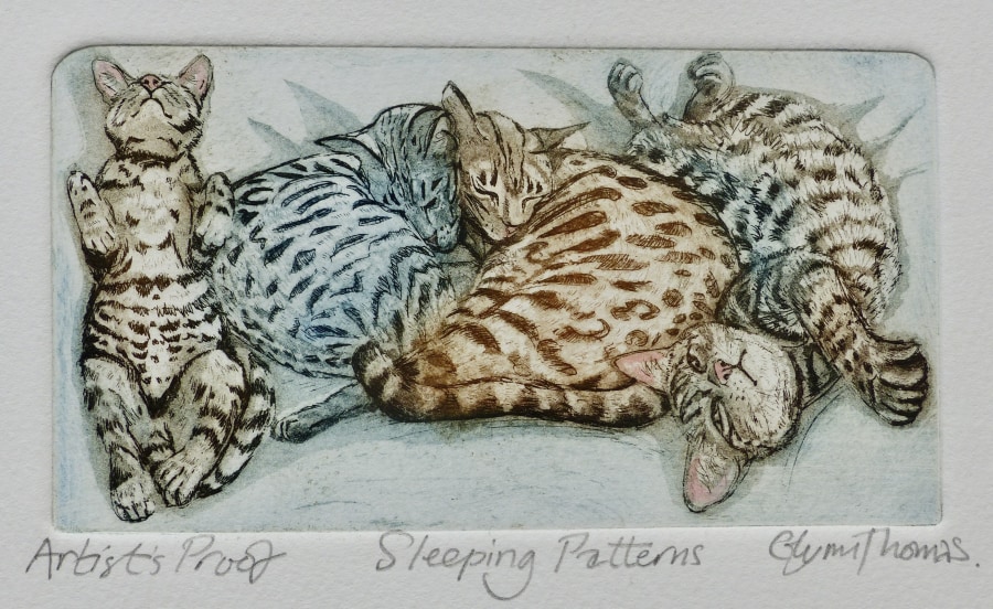 Glynn Thomas  Sleeping Patterns