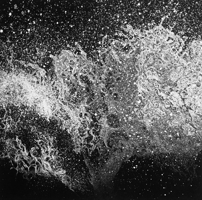 Marianne Ferm  Wild Oceans III