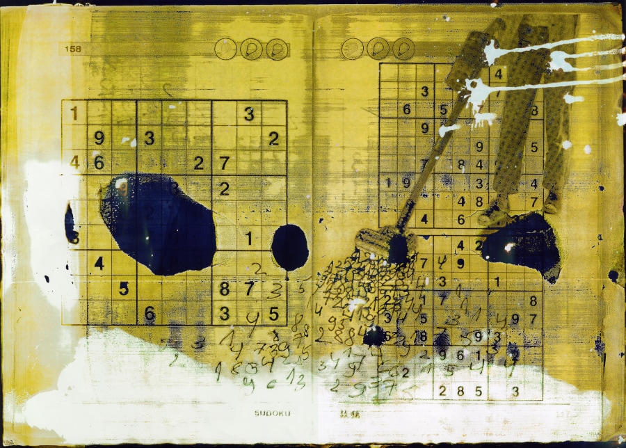 Emilija Pliaukštaitė  Clean up 2