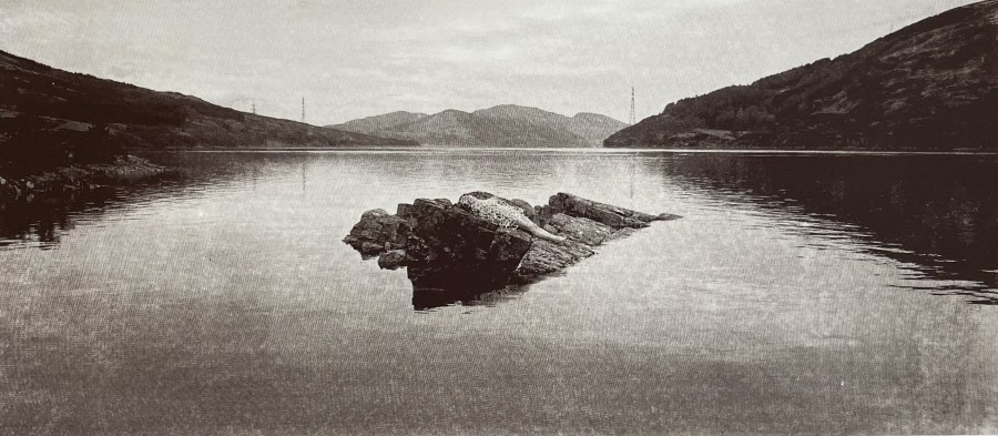 Rachel Shephard  Stranded by Design