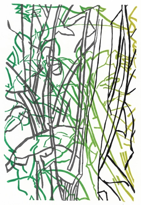 Peter S Smith  Green Beyond