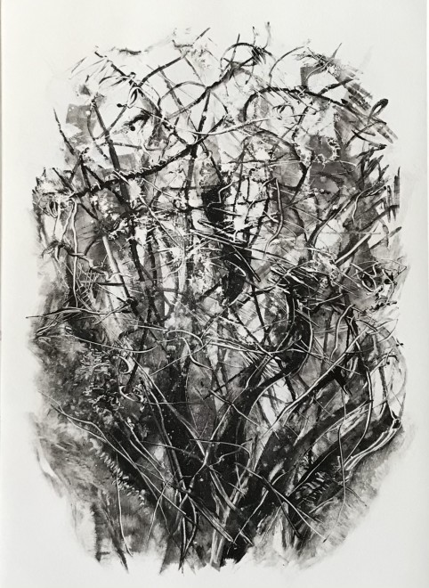 Jackie Newell RE, Winter Trees 1