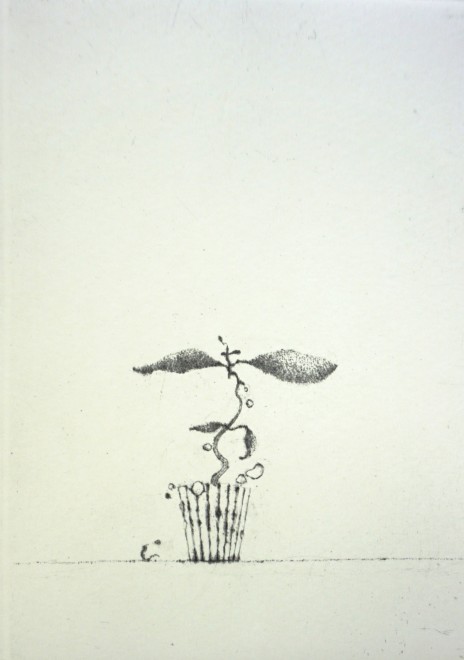 Lars Nyberg RE, Maev's Peculiar Plant