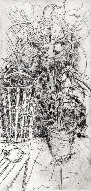 Lemon Tree