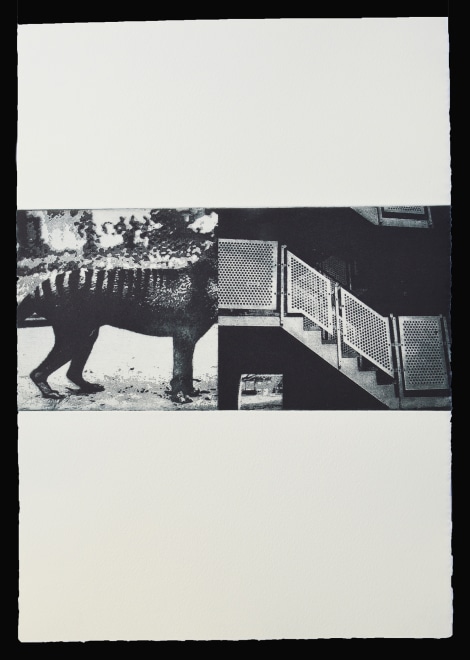 Ian Rawlinson ARE, Chimera