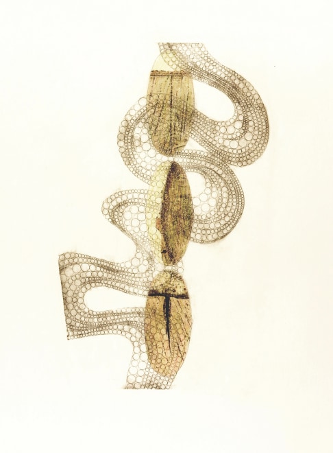 Serena Smith ARE, Heteroglossia 2