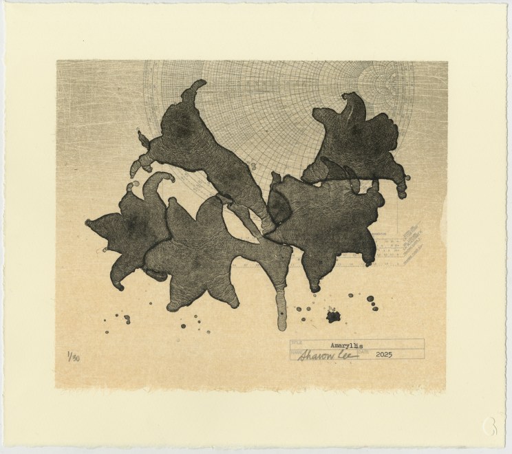 Sharon Lee RE, Amaryllis