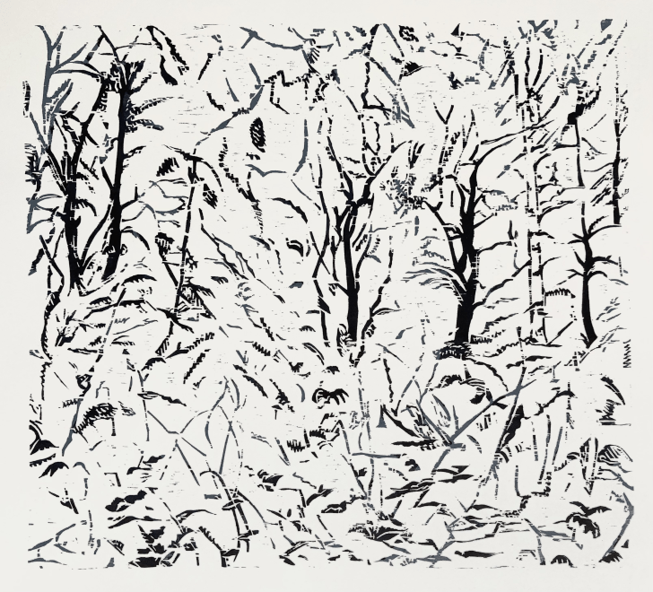 Many Paths