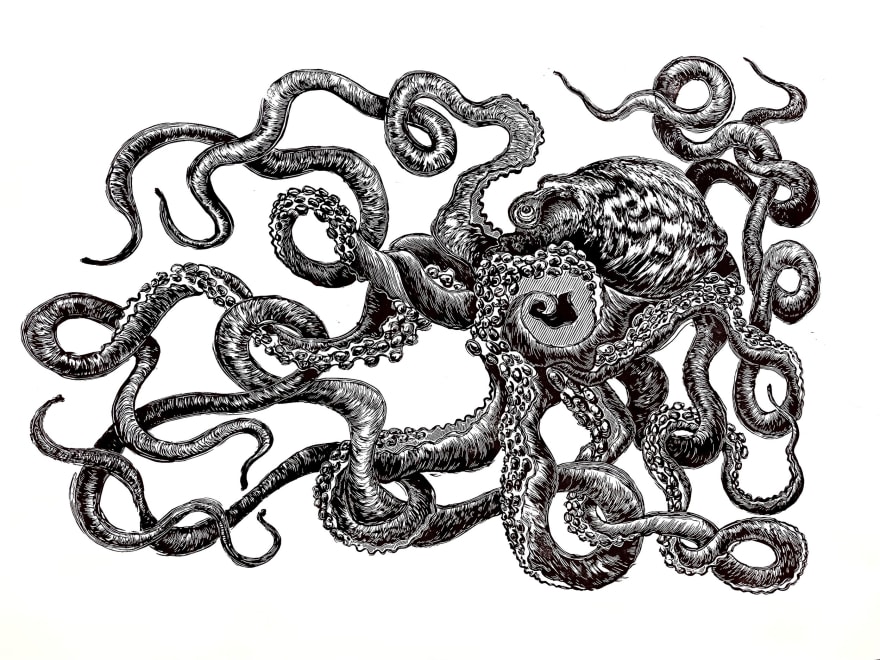 Giant Octopus