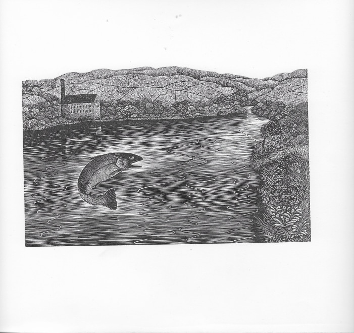 Leaping Trout