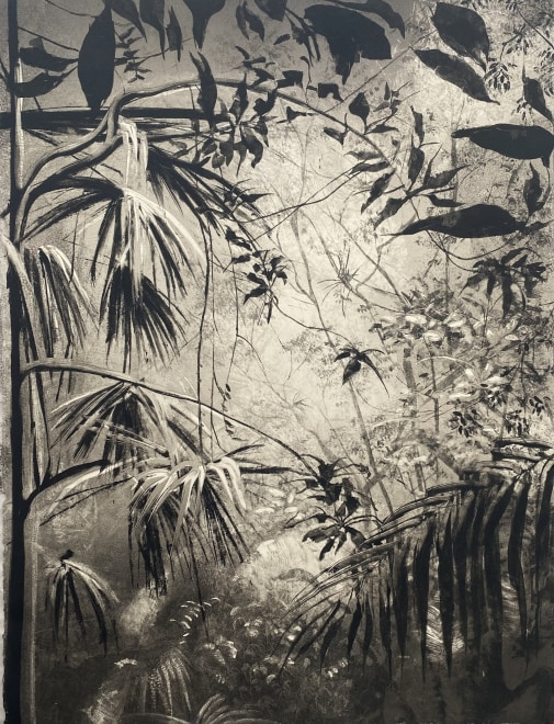 Fiona Fouhy ARE, Clouded Divination