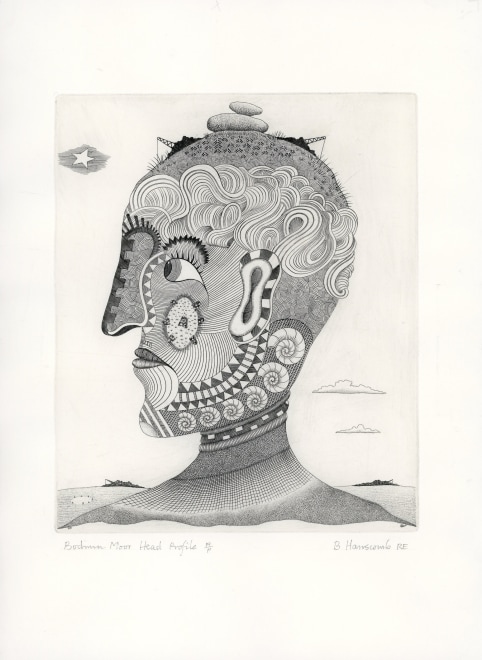 Brian Hanscomb RE, Profile of Bodmin Moor Head
