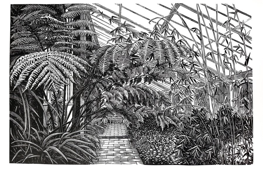House of Ferns 