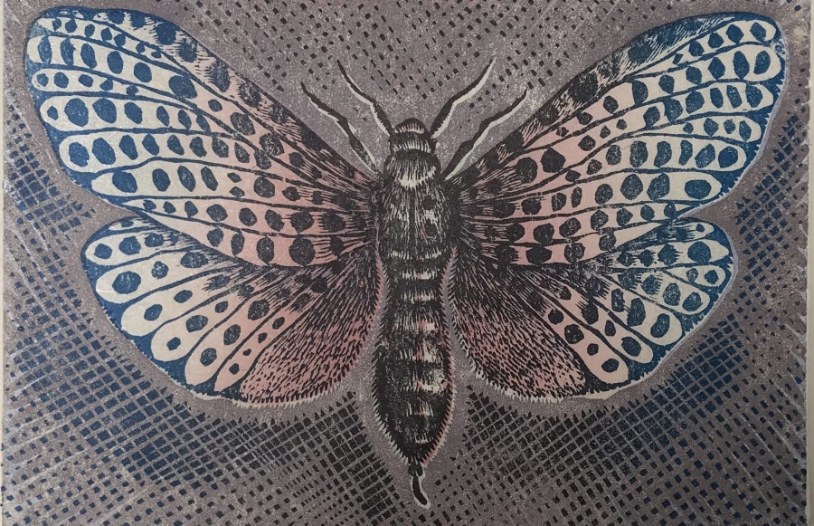 Moth