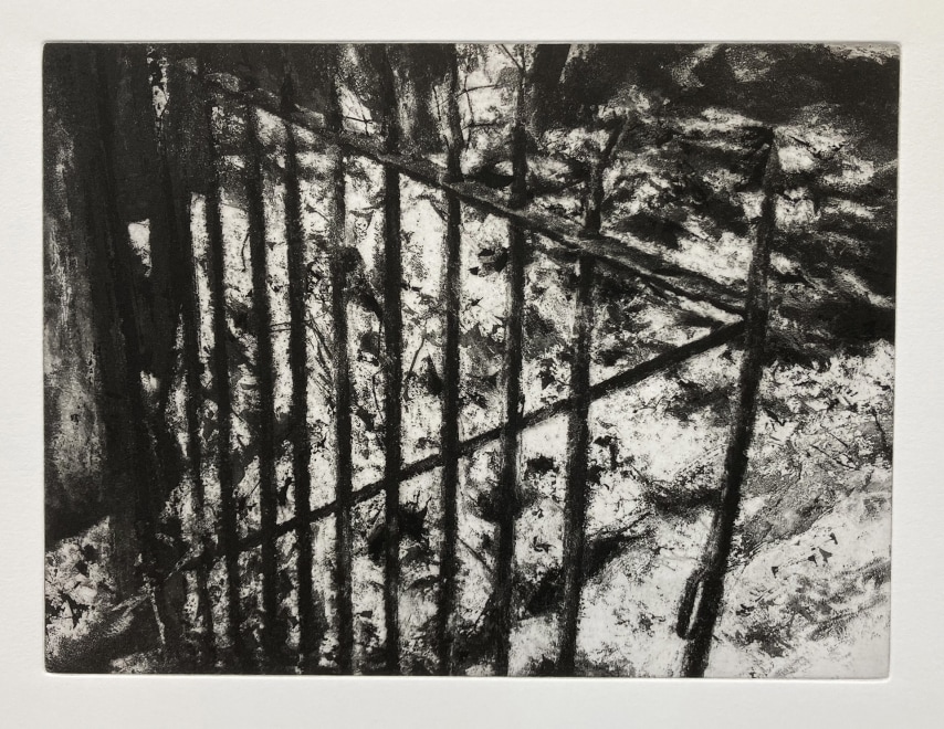 David Sully ARE, Open Gate, Winter
