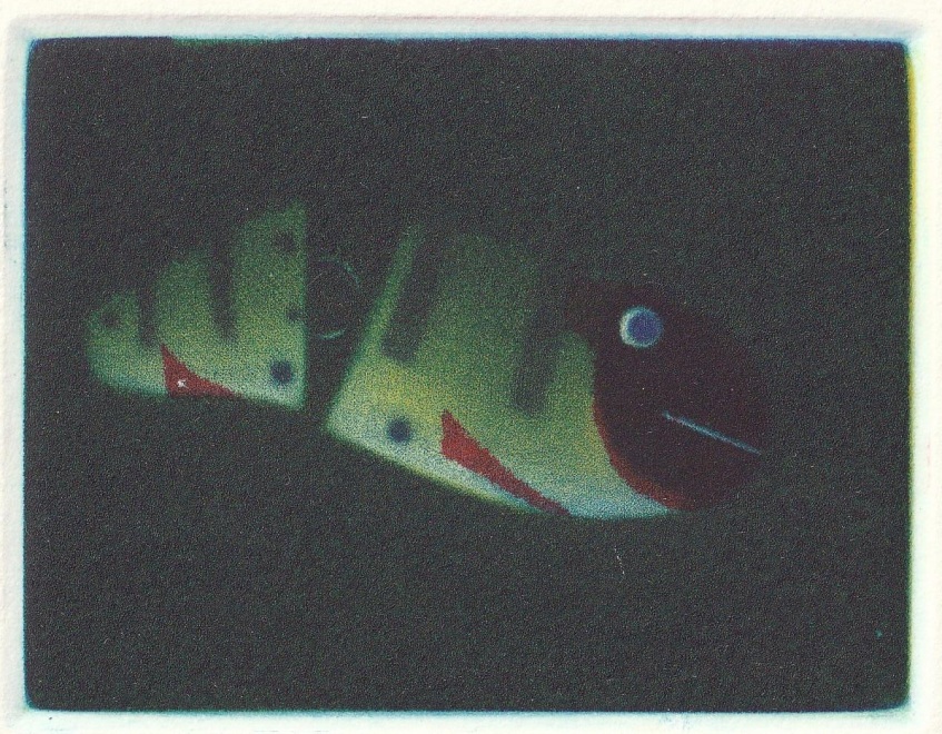 Spotted and Striped Lure