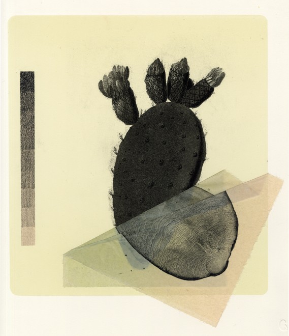 Sharon Lee RE, Prickly Pear