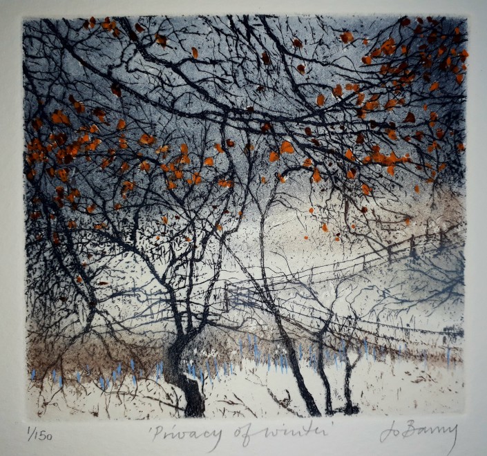 Jo Barry RE , Privacy of Winter