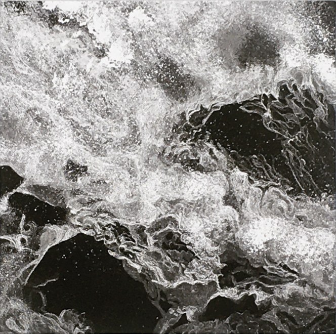 Marianne Ferm RE, Wild Oceans II