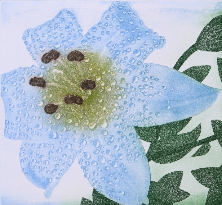 Nourish - Moon Shadow Lily