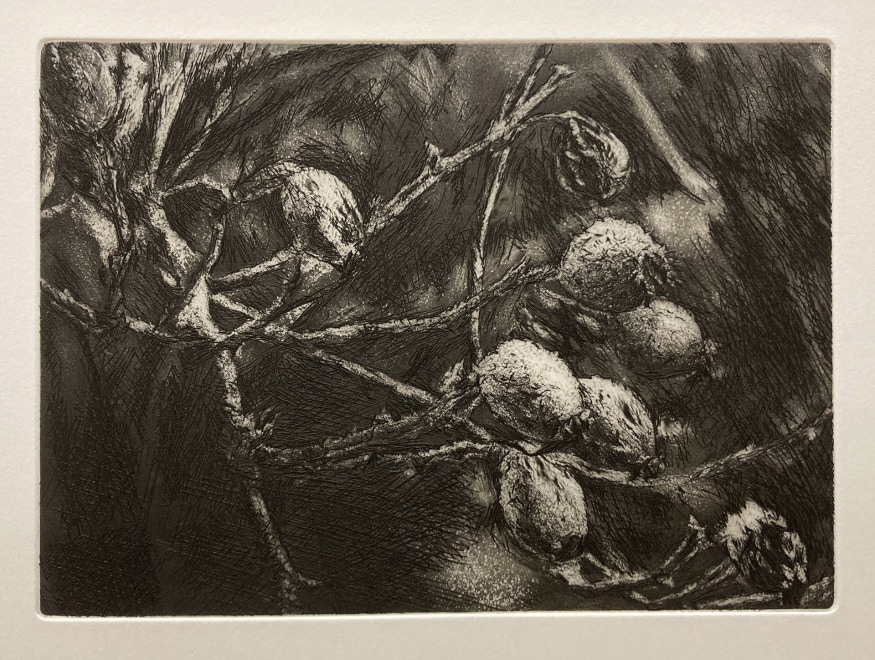 David Sully ARE, Rose Hips In The Frost