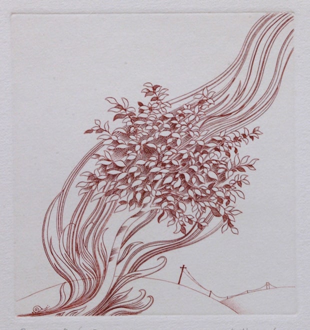 Burning Bush
