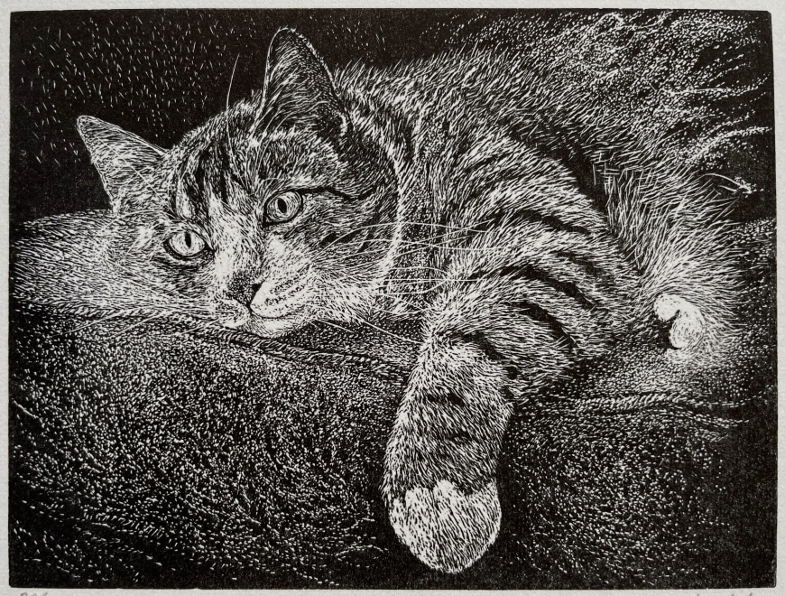 By the Fireside