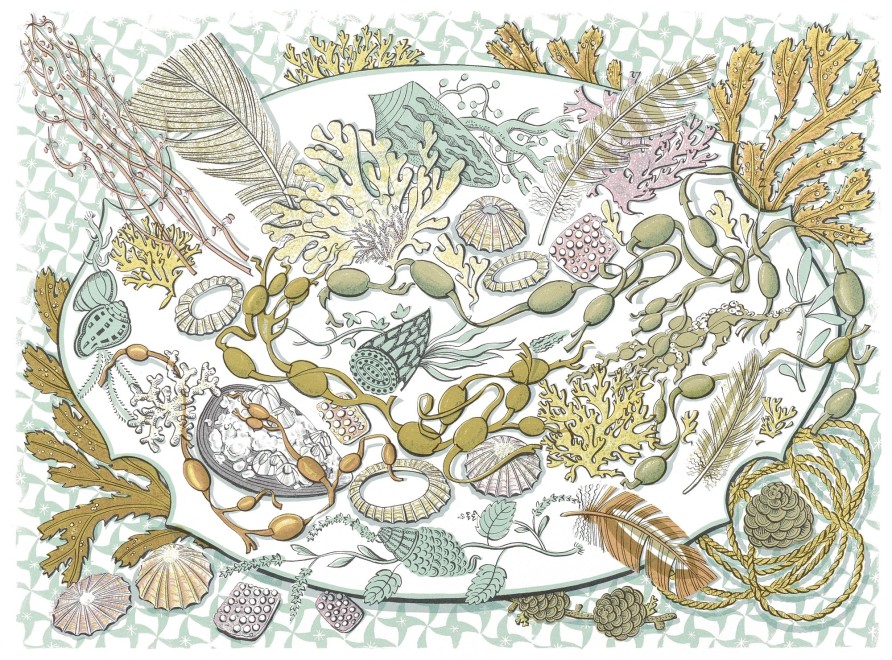 Shell, Seaweed and Feather