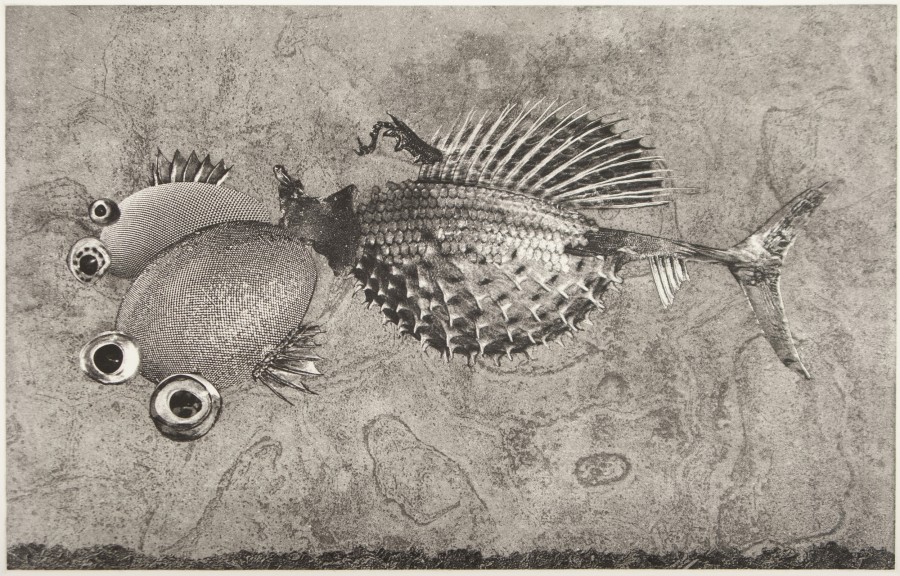Invasive Aquatic Surveillance Bio Drone (Gentetically Enhanced)