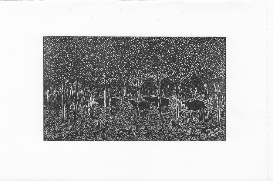 Boars in the Undergrowth