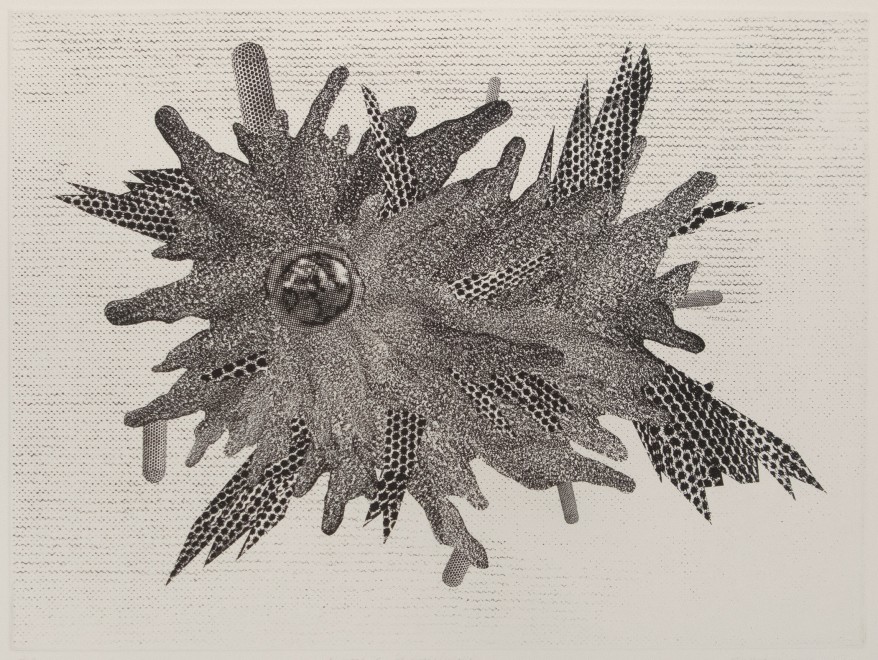 Amoebic Surveillance