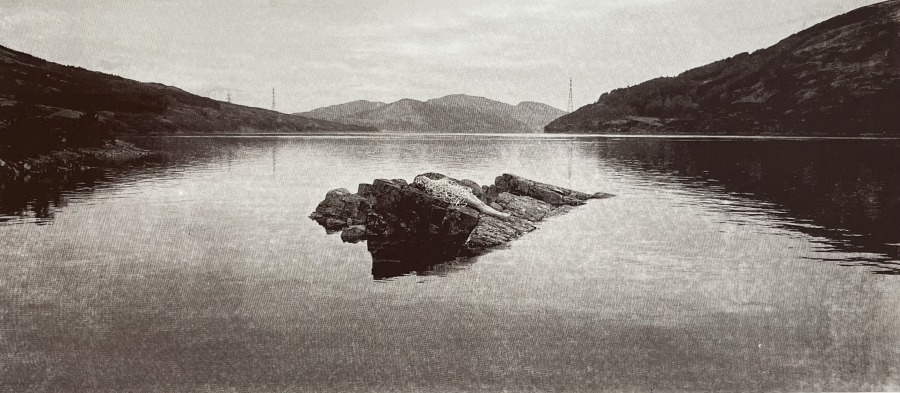 Stranded By Design