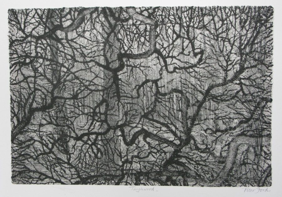 Peter Ford RE, Tangle Wood