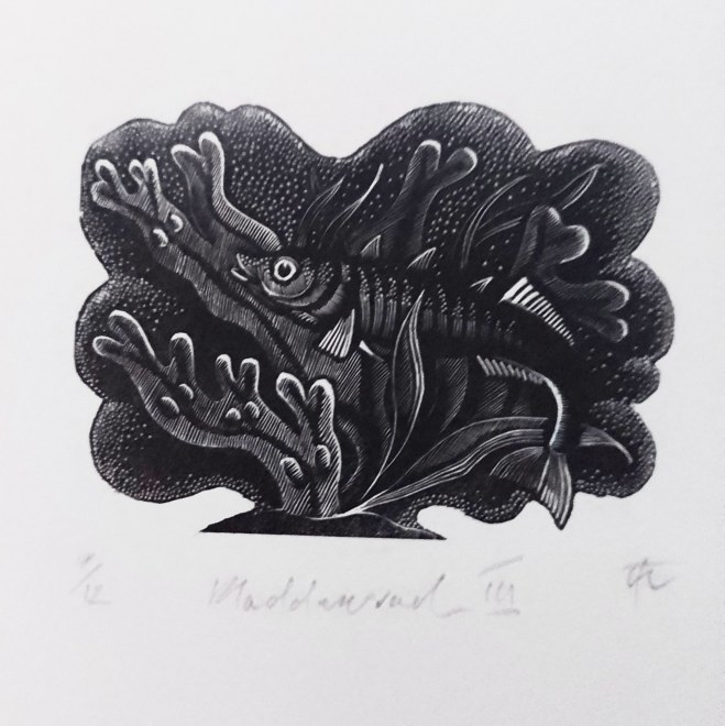 Nikki Tait  Bladderwrack III