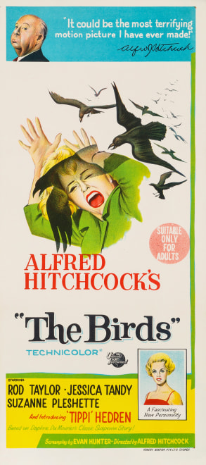 The Birds 