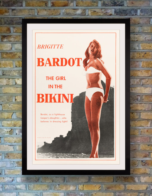 The Girl in the Bikini