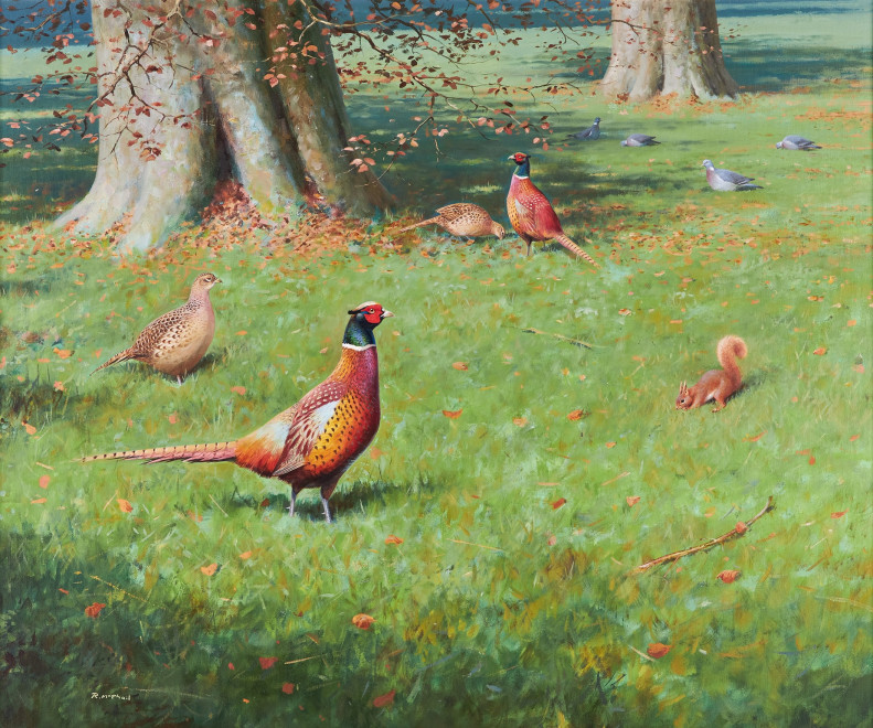 Rodger McPhail, Autumn Pheasants