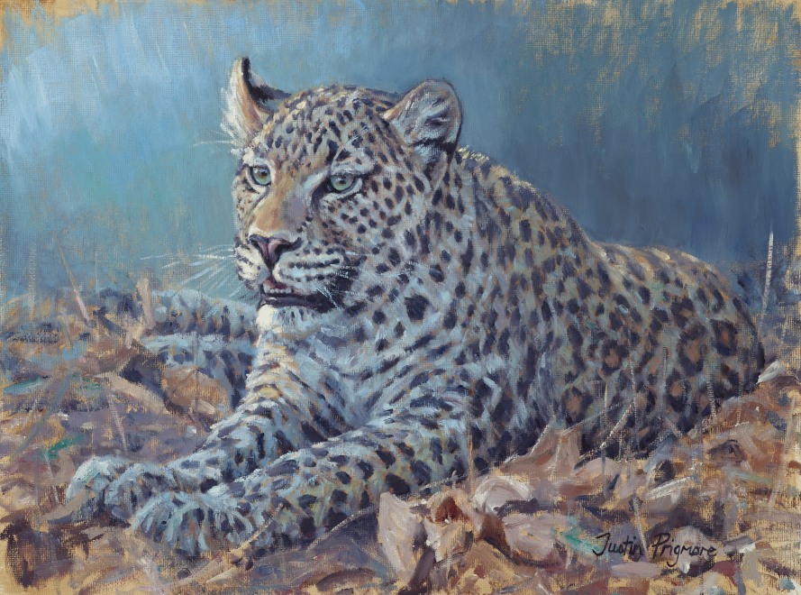 Justin Prigmore, Last light: leopard